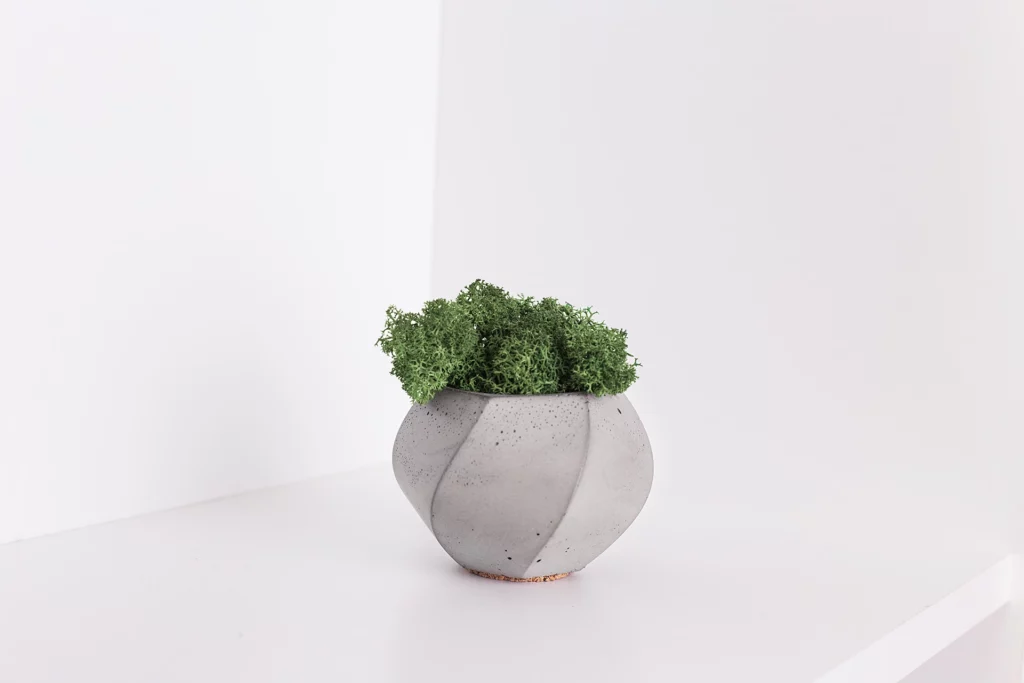 Een bloempot met facetten uit keramiek met een plantje er in
