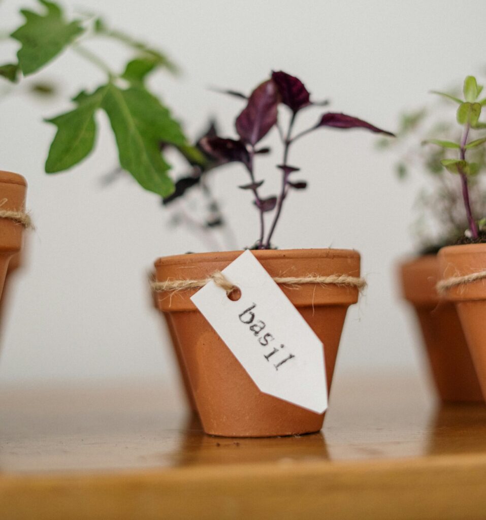 cursist plantenlabel