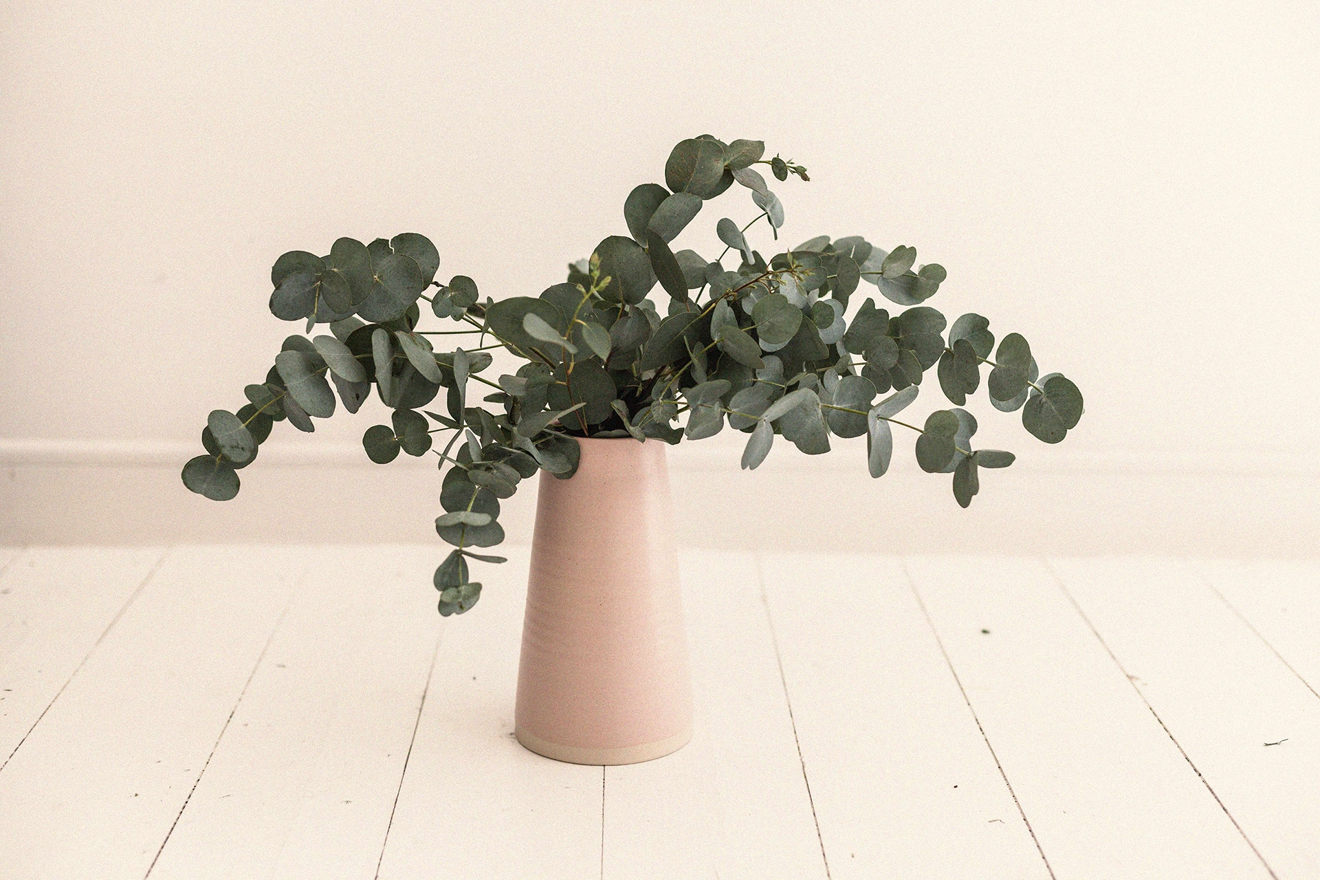 Keramieken vaas met eucalyptus plant in